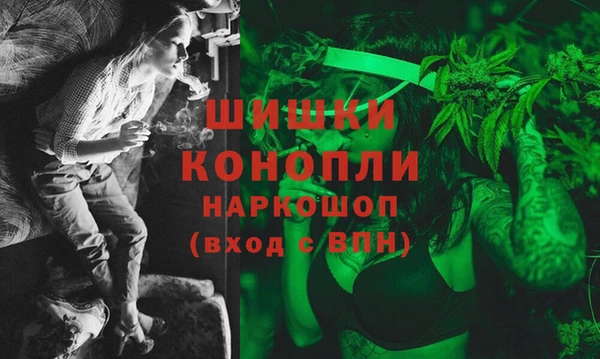 стаф Магас