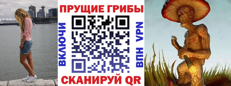 сколько стоит Никольск Псилоцибиновые грибы ЛСД